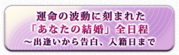��̿����ư�˹�ޤ줿�֤��ʤ��η뺧�����������а�����������������ޤ�